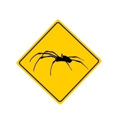 Quelle est l'araignée la plus dangereuse du monde ?