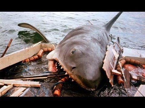Comment est tué le requin à la fin du film ?