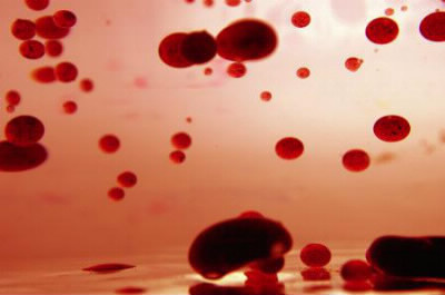 Facile. Combien de litres de sang circulent dans le corps humain ?