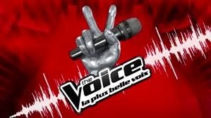 Qui présente l'émission The Voice ?