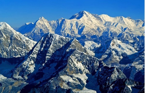 Quel animal a-t-on découvert vivant à 8 000 m d'altitude dans l'Himalaya ?