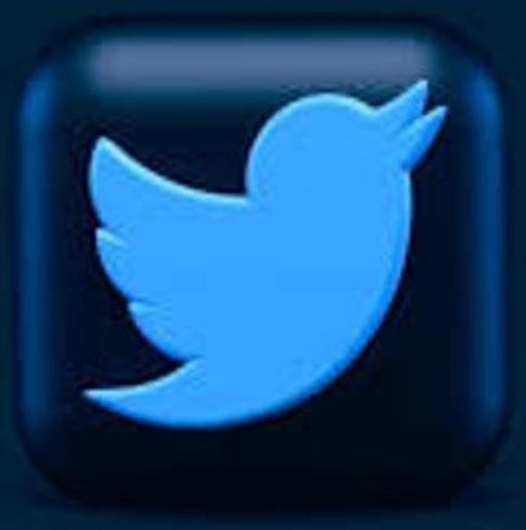 Quel est le nom de l'oiseau bleu, symbole de Twitter ?