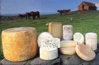 Parmi ces propositions, laquelle ne désigne pas un fromage d’Auvergne ?