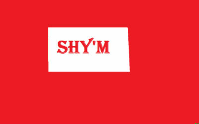 Shy'm vient du mot anglais "shy", que signifie-t-il ?