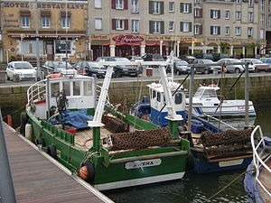 Comment appelle-t-on le bateau spécialisé dans la pêche de coquilles Saint-Jacques ?