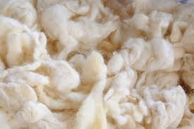 Quel animal d'élevage nous fournit la plupart des laines qui servent à la confection de nos vêtements ?