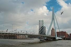 Comment s'appelle le pont à haubans de Rotterdam ?