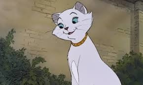 Comment s'appelle cette chatte ?
