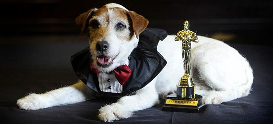 Le chien de The Artist a reçu la "Palme dog" à Cannes. Il est décédé quatre ans après. De quelle race est-il ?