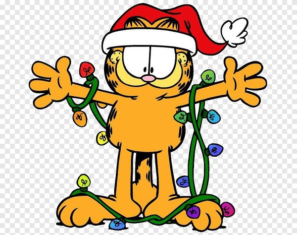Trouve le bon cadeau de Noël pour Garfield !