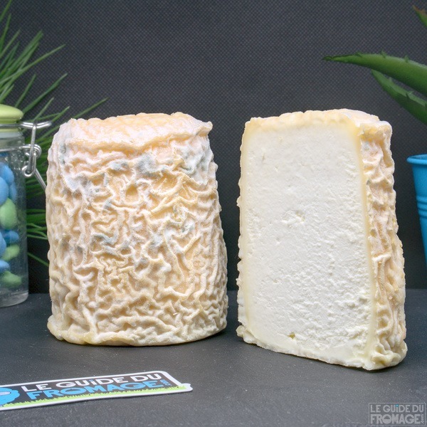 Le Charolais est un petit fromage en forme de tonnelet. A partir de quel lait est-il fabriqué ?