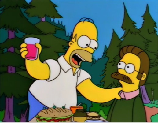 Qui est Ned pour Homer ?
