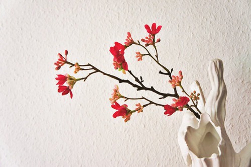 C'est une tradition en Allemagne de couper une branche de cerisier, si elle fleurit à Noël c'est un gage de prospérité. A quelle date la coupe-t-on ?