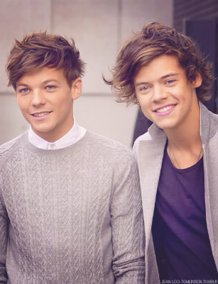 Quelle est la bromance de Louis et Harry ?