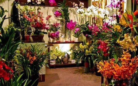 Comment s’appellent les obtenteurs d’orchidées ?