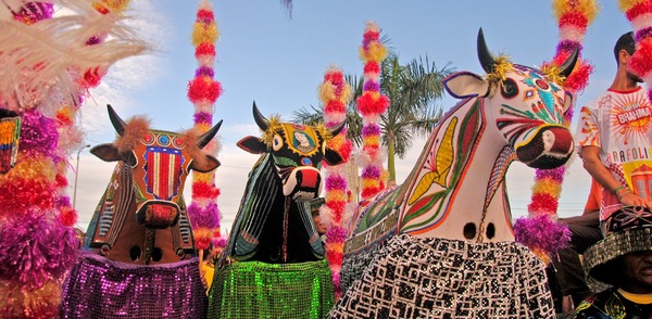 Qual é a expressão máxima da cultura popular do Maranhão?