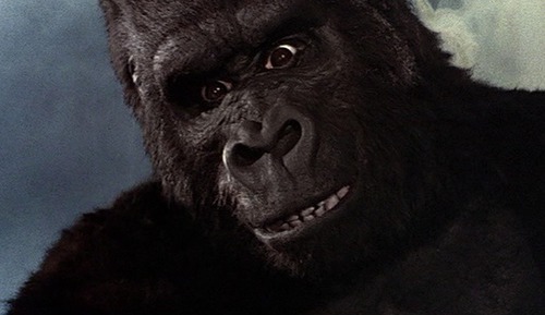 Sur son île, quel animal King Kong va-t-il combattre pour sauver sa bien aimée ?