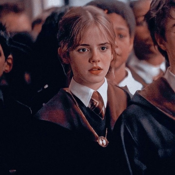 Qui est Hermione pour Harry ?