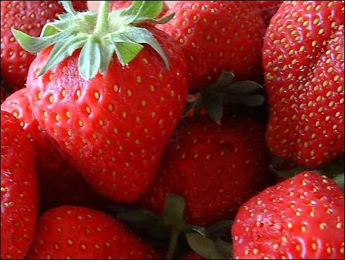 Quel état américain devient vers 1940, le premier producteur mondial de fraises ?