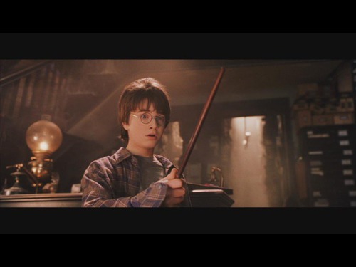 Avec qui Harry partage la même plume de Phoenix dans sa baguette ?