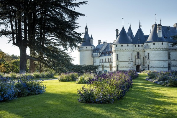 En quelle année la reine Catherine de Médicis achète à la famille d'Amboise le château de Chaumont-sur-Loire ?