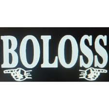 Qui chante "Boloss" ?