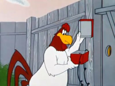 Quel est le prénom de ce coq ?