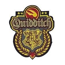 Quel poste James a-t-il dans l'équipe de Quidditch ?