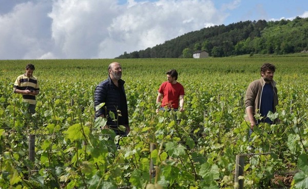 Quel film a été tourné dans un vignoble en Bourgogne ?