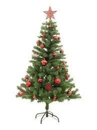 Quel arbre symbolise Noël ?