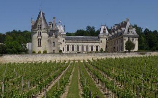 Selon les écrits, quel peuple cultiva pour la première fois la vigne en France ?