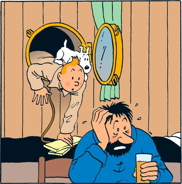 Dans quelle aventure Tintin fait-il la connaissance de Haddock ?