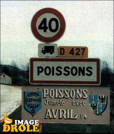 Avec quelle ville est jumelée la ville Poissons ?