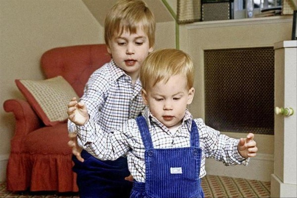 En quelle année le Prince William est-il né ?