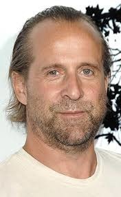Acteur suédois, Peter Stormare, à joué dans "8mm" "Minority report", "Armageddon" et est surtout connu pour quel rôle dans la série "Prison break" ?