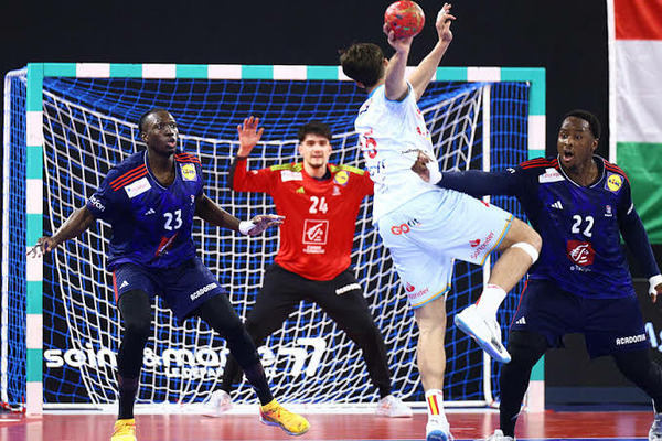 Sur un terrain, combien une équipe de Handball professionnelle compte-t-elle de joueurs ?