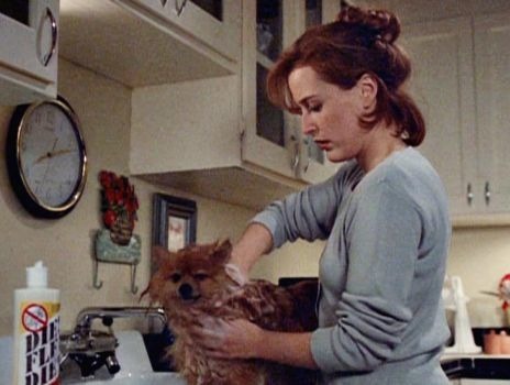 Quel est le nom du chien de Dana Scully de la série X-Files ?