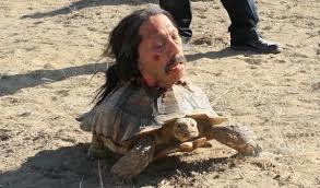 Pour terminer, quel est le nom de l'homme, dont la tête se retrouve sur une tortue ?