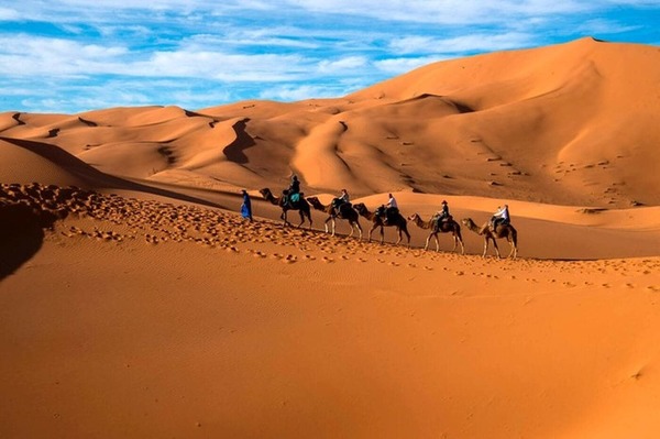Sur combien de pays s'étend le désert du Sahara ?
