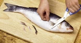 Quel terme utilise-t-on quand on coupe les nageoires d’un poisson ?
