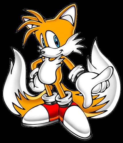 Dans l'animé "Sonic the Hedgehog", Tails est...