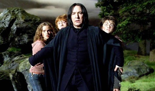 Quelle matière enseigne le Professeur Rogue dans la saga Harry Potter ?
