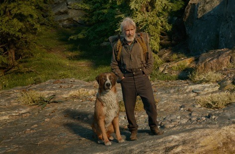Comment s'appelle le chien de Jack London dans son roman"L'appel de la forêt" ?