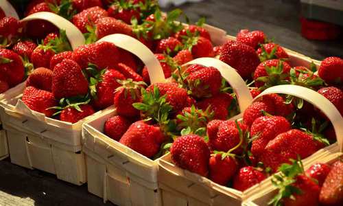 Combien de temps conserve-t-on les fraises au réfrigérateur ?