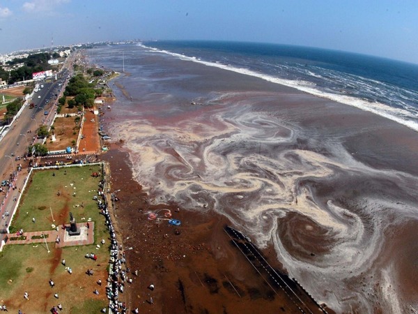 En quelle année un terrible tsunami a frappé plusieurs côtes de l'Océan Indien ?