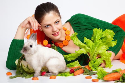 Vrai ou Faux? Le lapin et le cochon d'Inde adorent les carottes.