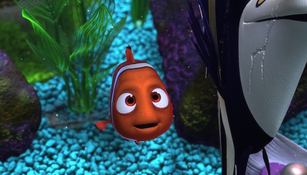 Quelle sorte de poisson est Nemo ?