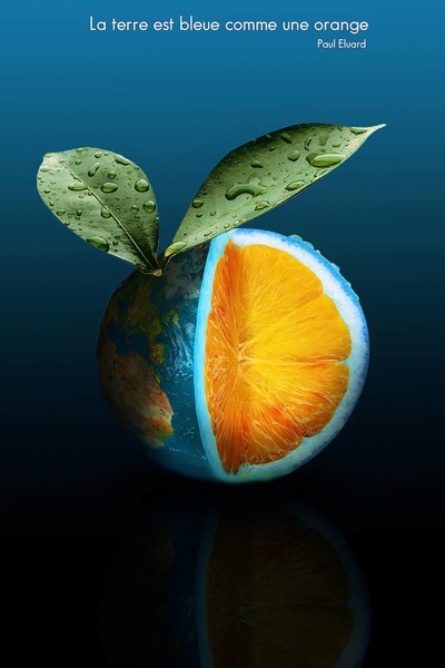 Qui a écrit « La terre est bleue comme une orange… » ?
