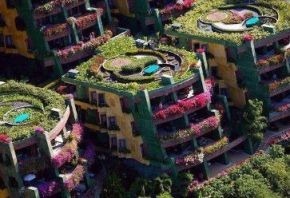 Appelés Botanical Apartment, cet ensemble residential très charmant et original se trouve à _____ ?
