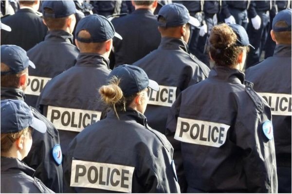 A quel animal les policiers sont-ils péjorativement associés ?
